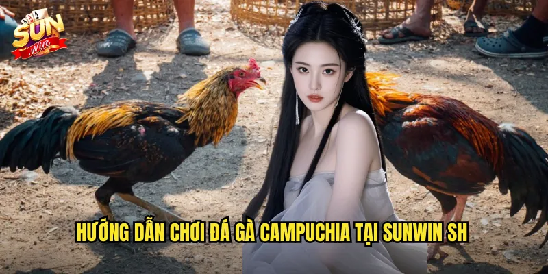 Hướng dẫn chơi đá gà campuchia tại sunwin sh
