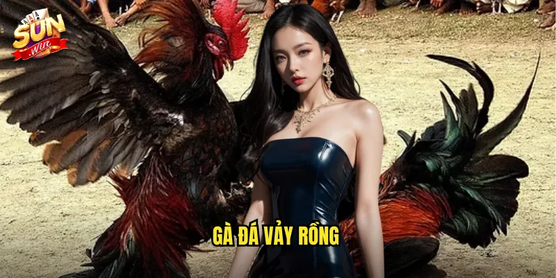 Gà Đá Vảy Rồng Sunwin SH - Giống Gà Quý Hiếm Với Sức Mạnh Phi Thường 1 gà đá vảy rồng