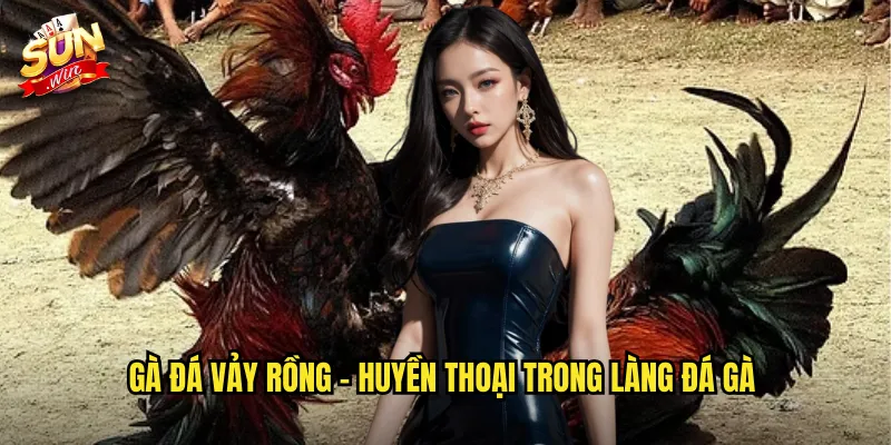 Gà Đá Vảy Rồng Sunwin SH - Giống Gà Quý Hiếm Với Sức Mạnh Phi Thường 2 Gà đá vảy rồng - Huyền thoại trong làng đá gà