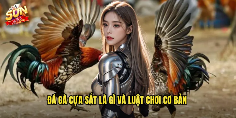 Đá Gà Cựa Sắt Sunwin SH - Trận Đấu Kịch Tính Với Tỷ Lệ Cược Hấp Dẫn 2 Đá gà cựa sắt là gì và luật chơi cơ bản
