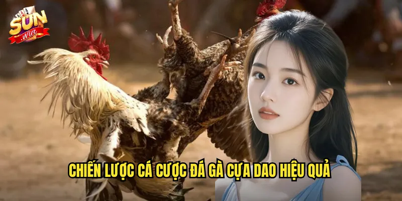 Đá Gà Cựa Dao Sunwin SH - Môn Thể Thao Mạo Hiểm Dành Cho Cao Thủ 3 Chiến lược cá cược đá gà cựa dao hiệu quả